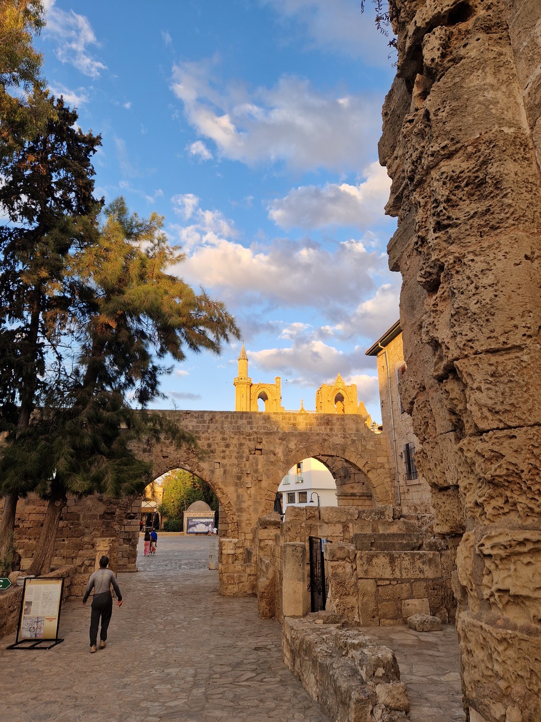 Весь Кипр за 1 день (Татьяна)