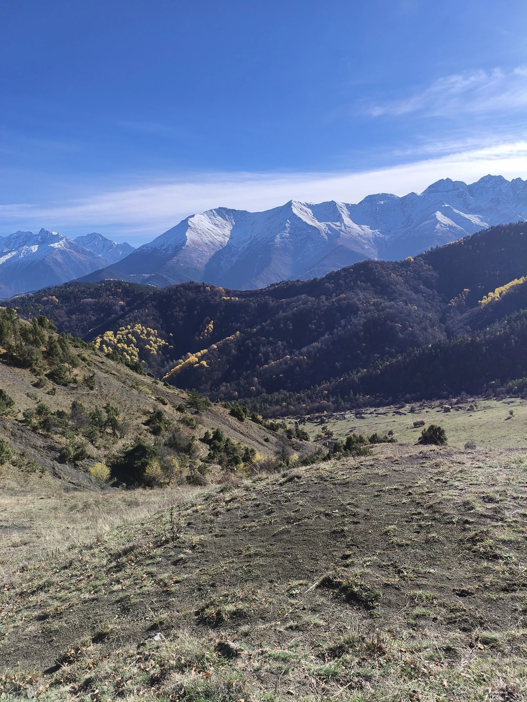Экскурсия по горной Ингушетии в сопровождении гида Владимира вызвала в нашей душе позитивный отклик и бурю