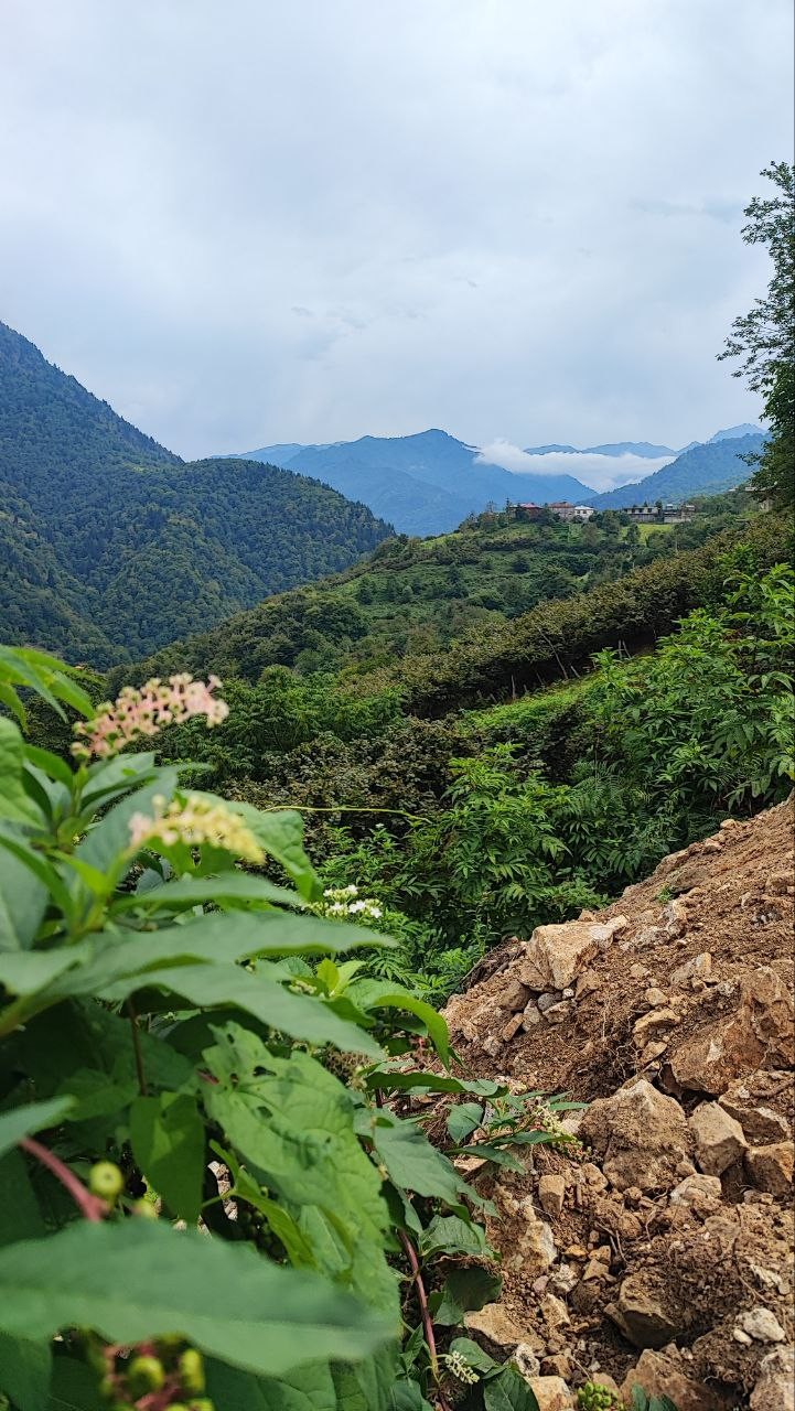 Батуми и Горная Аджария за 1 день (Екатерина)