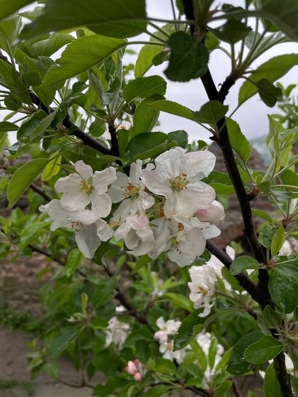 Это была потрясающая поездка!