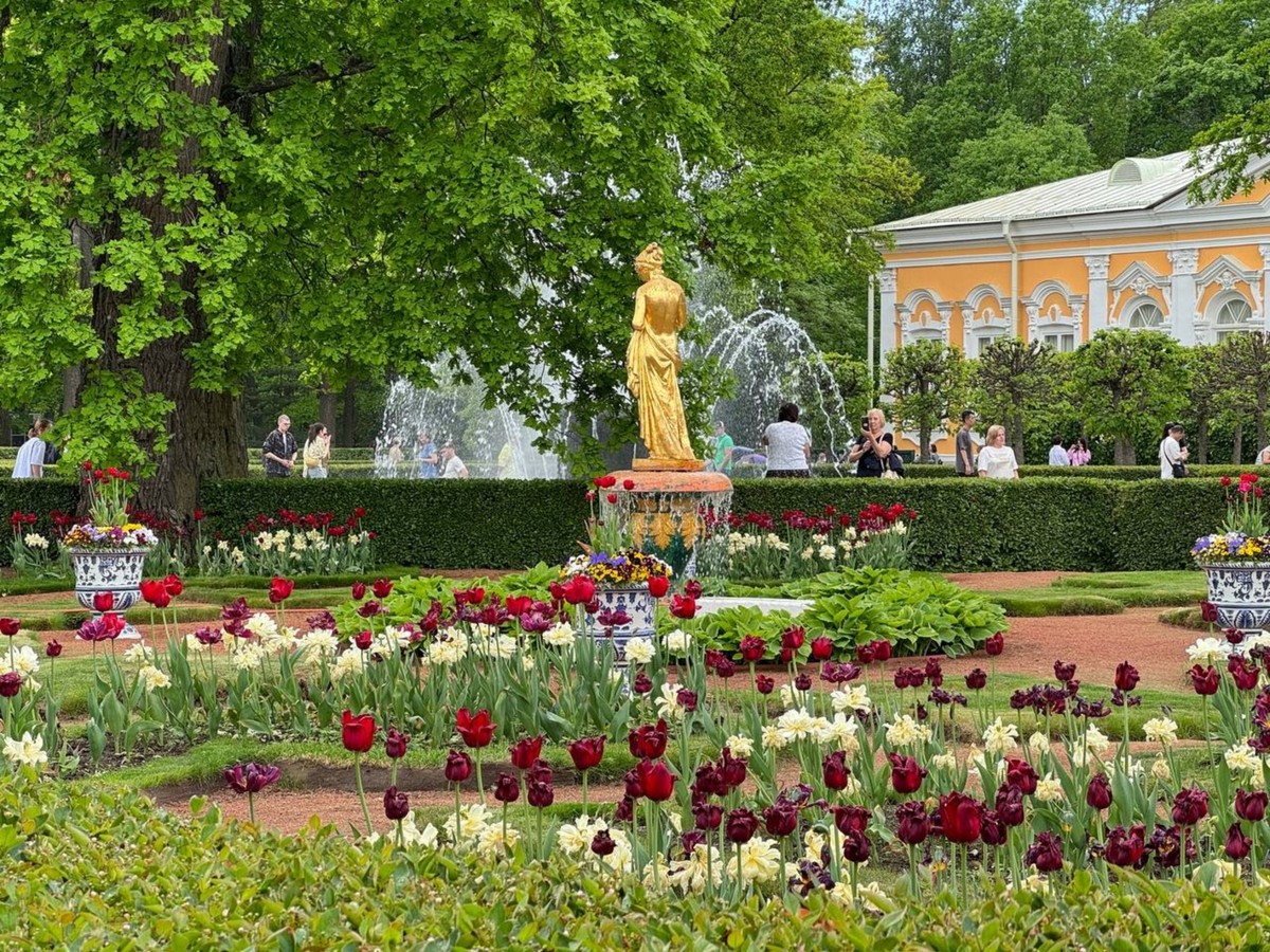 Фото В Нижний парк Петергофа на метеоре — из Петербурга