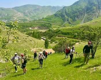 Чор-Чинор и дерево-школа