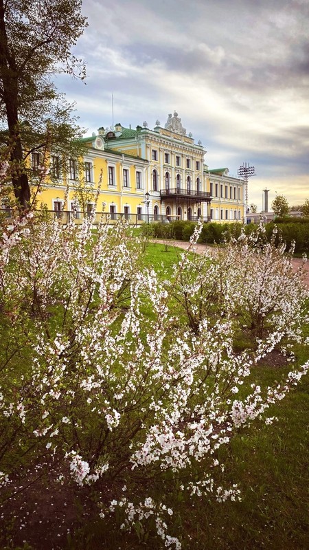 Тверь. Комедия в старом городе (в группе)