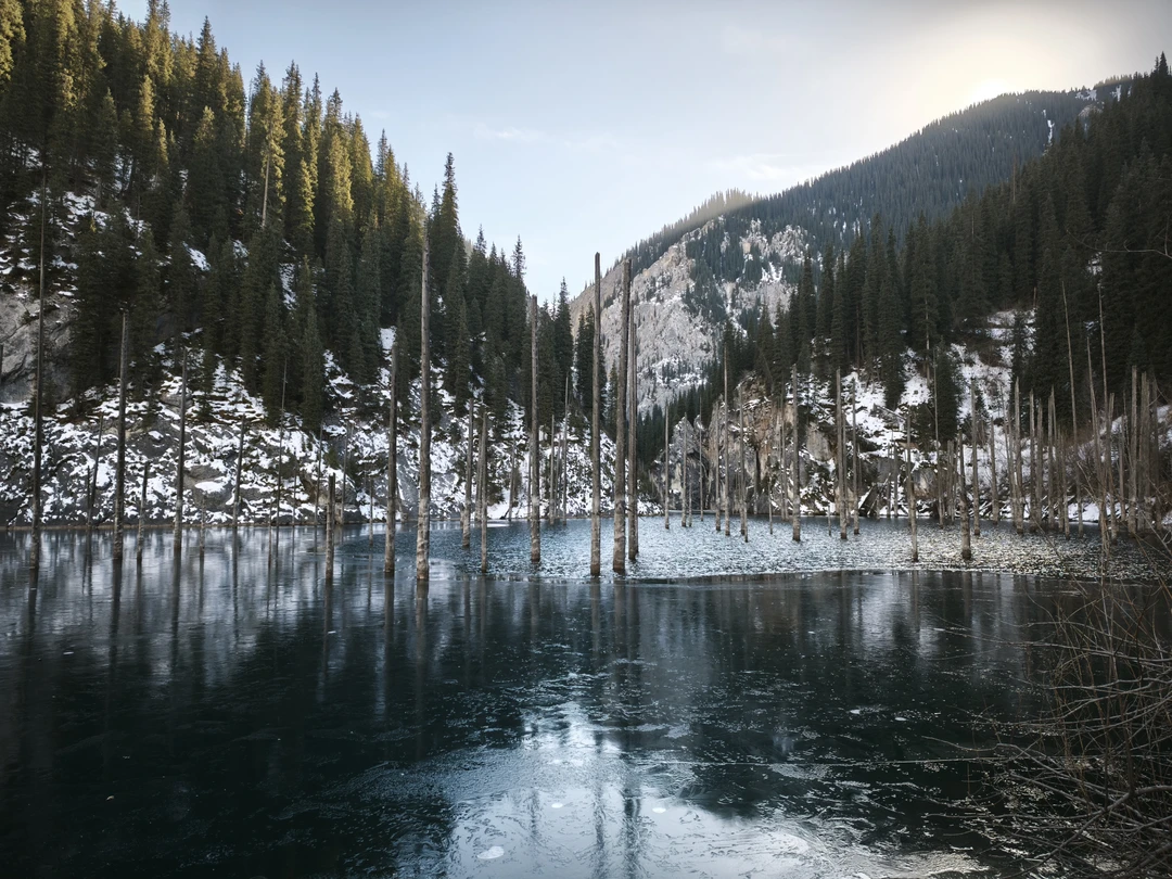 Водитель - Ореке