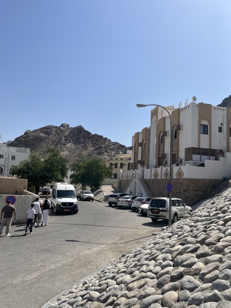 Были в Маскате 23 февраля, нашим экскурсоводом был Артур. Эксурсия прошла легко и непринужденно. Мини группы это топ!