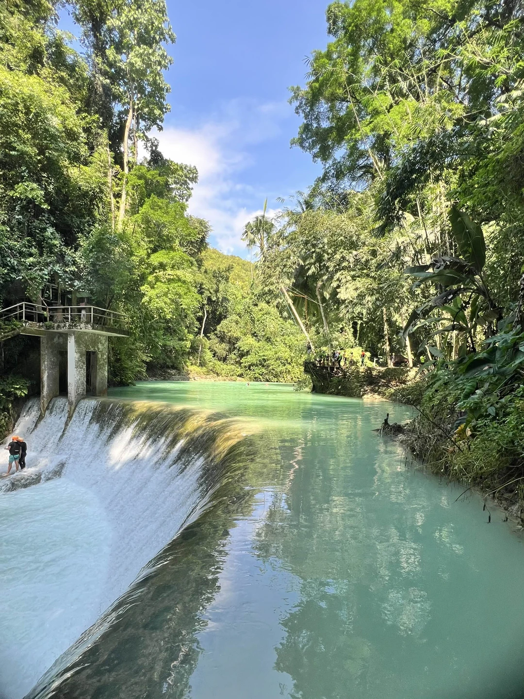 Однозначно рекомендую к посещению! Это был невероятный день, полный эмоций и приключений. Поплавали полноценно с акулами