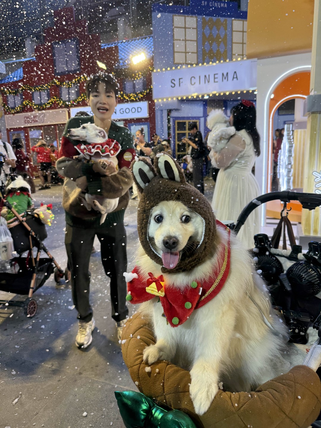 Вечерний Бангкок (Виталий)