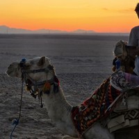Фото отзыва 2: экскурсия "Ночная прогулка на верблюдах по-бедуински"