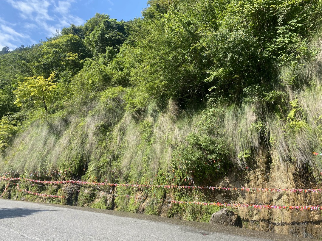 Наша поездка на озеро Рица прошла на одном дыхании. По дороге наш гид Руслан показал нам