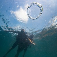 Фото отзыва 1: экскурсия "Фукуок и его подводный мир: дайвинг с инструктором + обед"