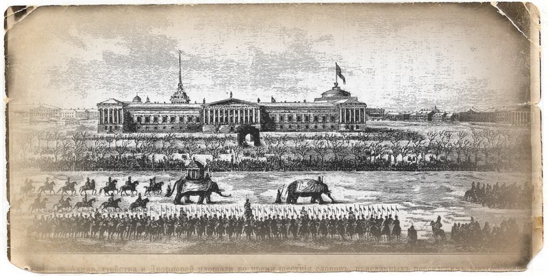 Виды Фантастические твари и где они обитают в Санкт-Петербурге