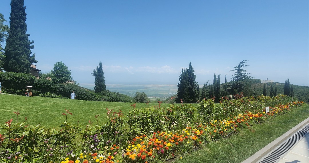 Кахетия: вино, легенды и красота (в группе) (Марина)
