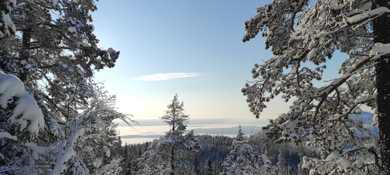 Экскурсия очень понравилась. Гид Эльдар интересно рассказывал об истории как Мурманской области в целом, так и