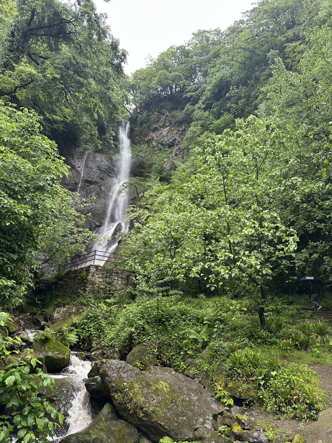 Батуми и горная Аджария за 1 день (Лилия)