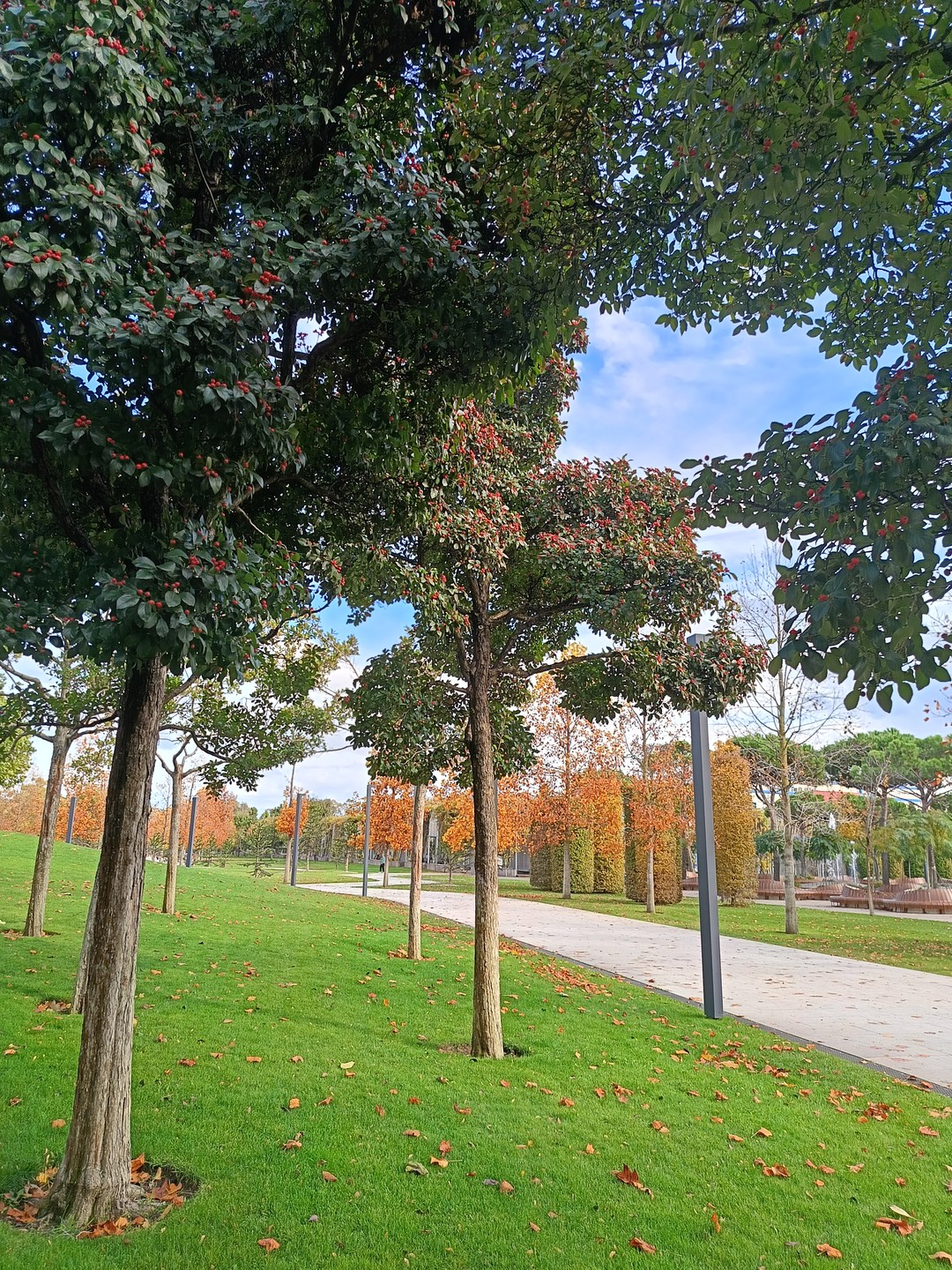 Светлана очень интересный рассказчик. Старается из многочисленных источников узнать и рассказать интересные факты. Экскурсия построена очень