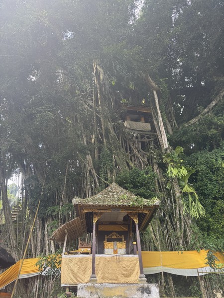 замечательная экскурсия от великолепного гида Мади! Мы проехали 10 часов с юга на север, увидев водопад