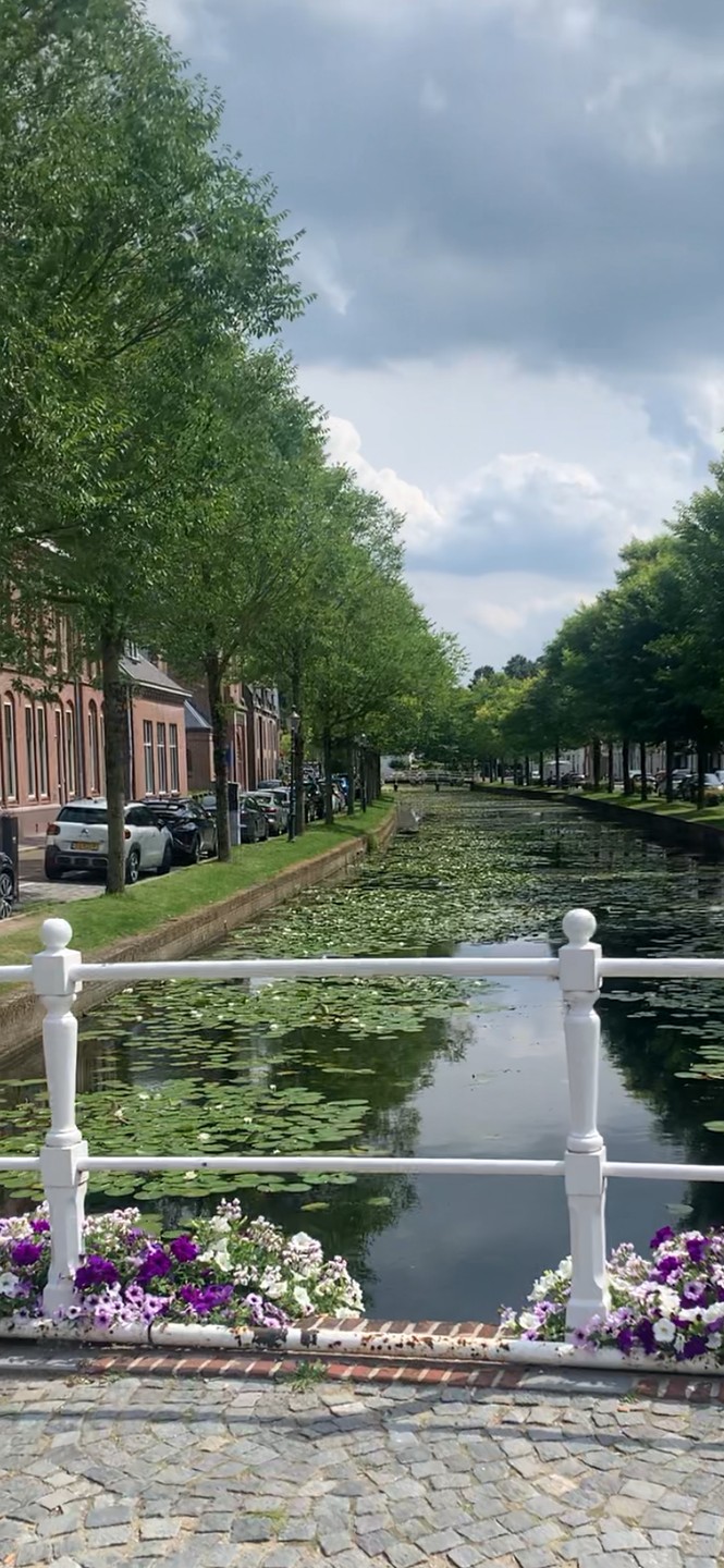 Это совершенный восторг Мы даже не ожидали столько красоты на таком небольшом участке природы, причем в