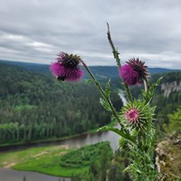 Фото отзыва 2: экскурсия "Каменный город и Усьвинские Столбы"