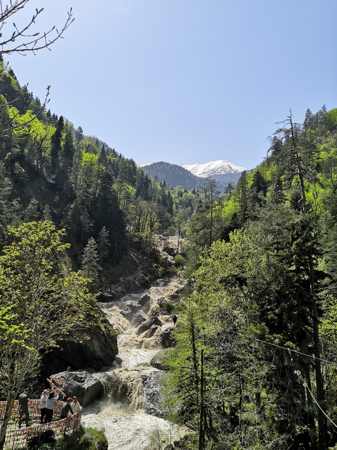 Поездка на джипе к озеру Рица и Гегскому водопаду (Александра)