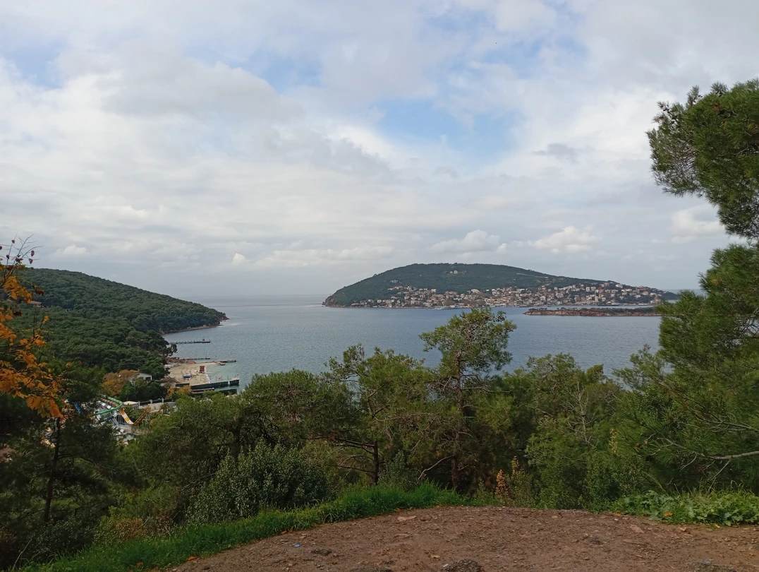 Наш гид, приятная девушка Луиза! Достаточно интересно и просто рассказала исторических локациях "Принцевых островов", дала некоторые