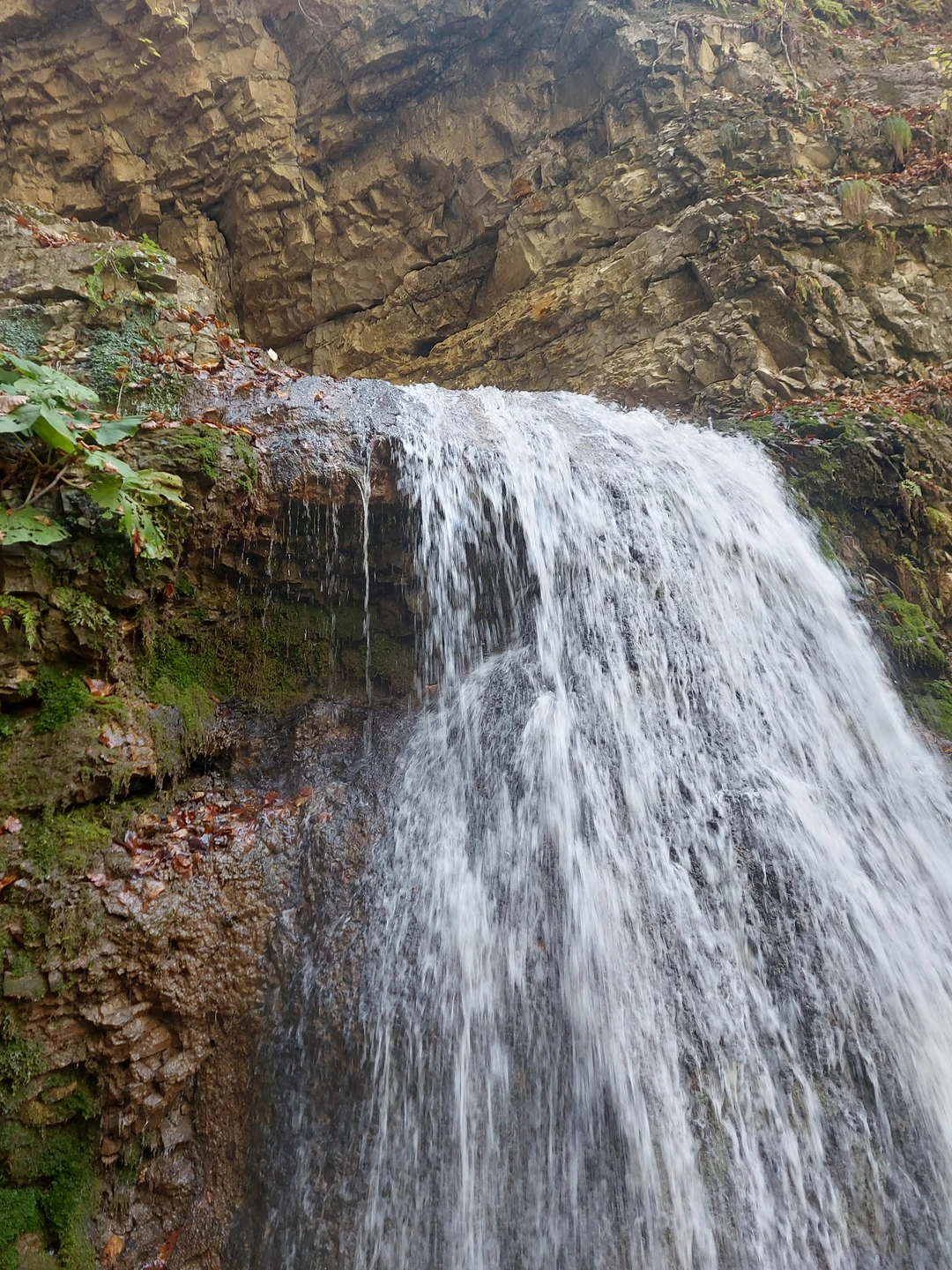 Аслан блестяще знает историю Чечни, её культуру, особенности, традиции, а также реальную жизнь в республике. Подробно