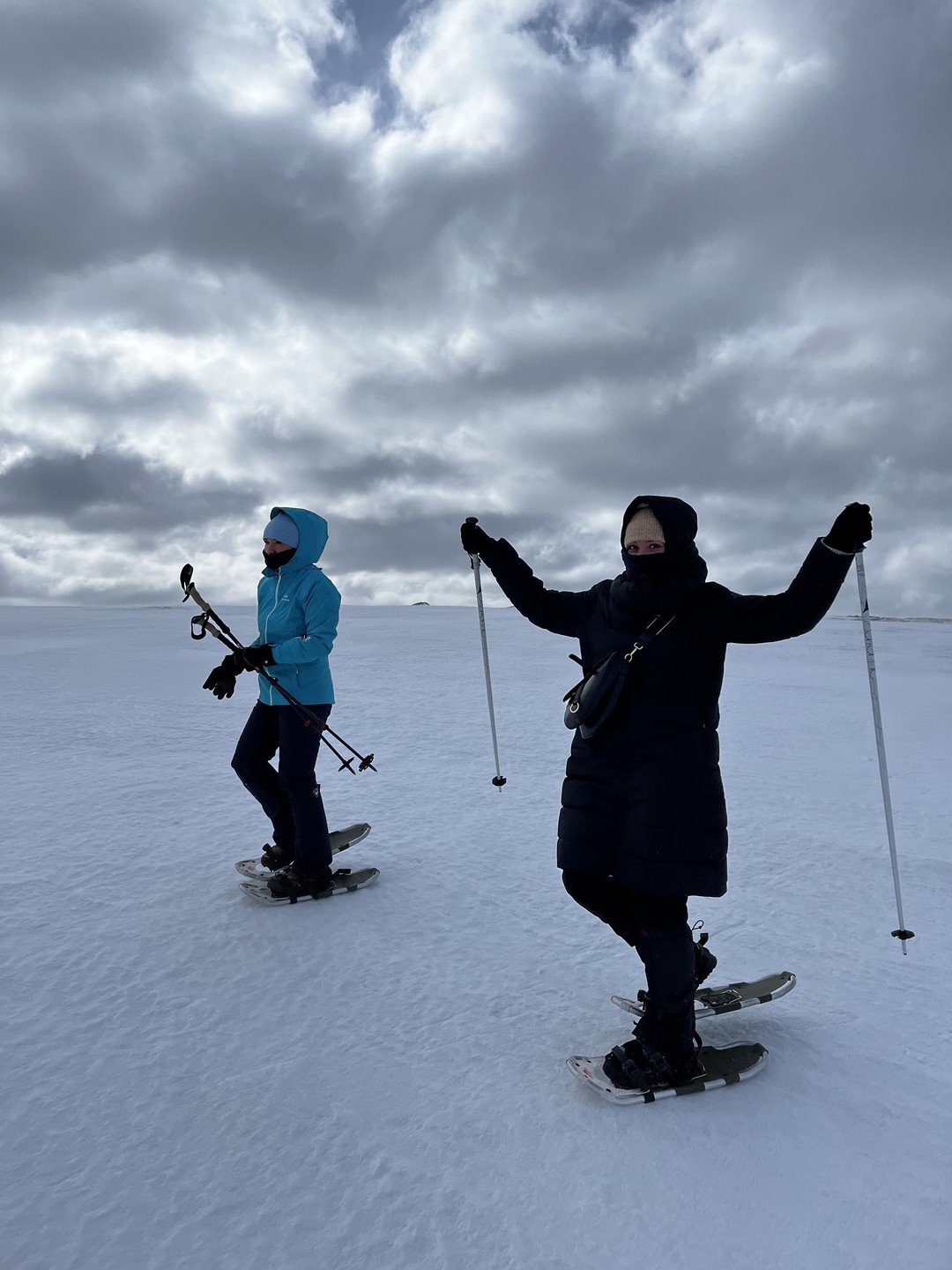 Из Мурманска - по следам снежного человека на снегоступах (Сабрина)