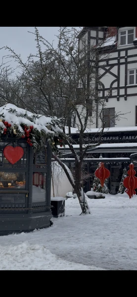 Очень душевная экскурсия, было интересно, содержательно и при этом не утомительно. Мы местные, но Зеленоградск для
