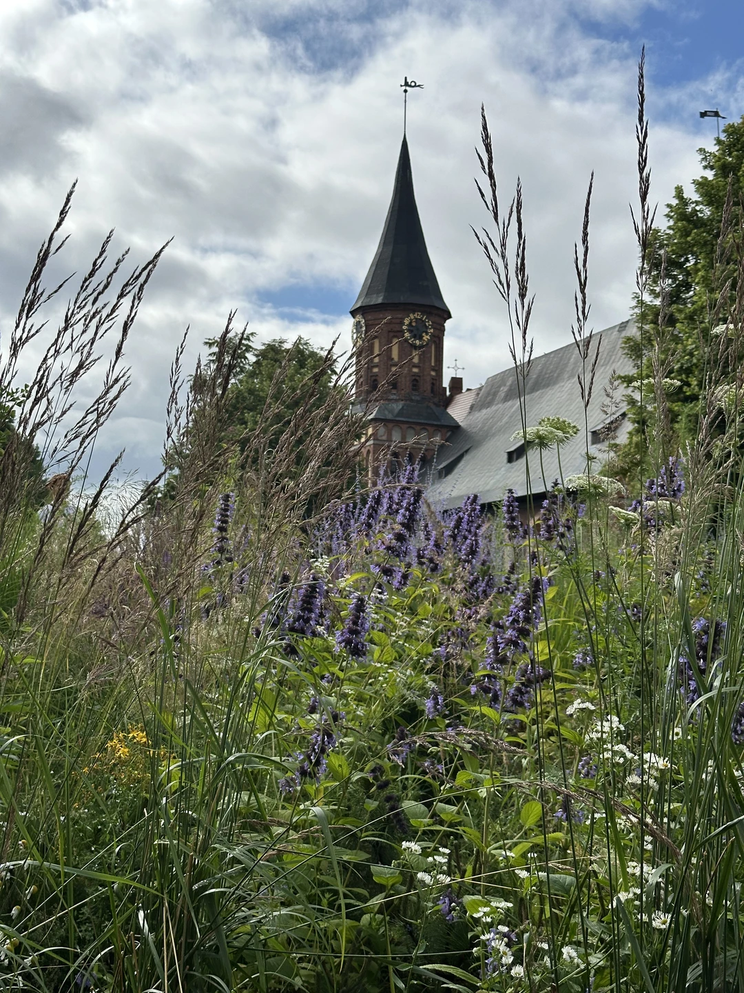 На двухэтажном автобусе - по Калининграду (Андрей)