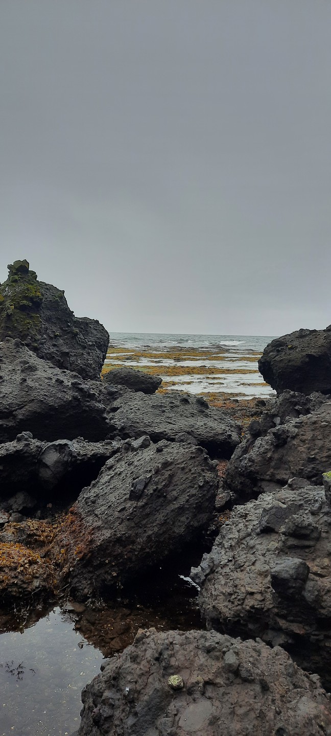 Природа Сахалина потрясающая.