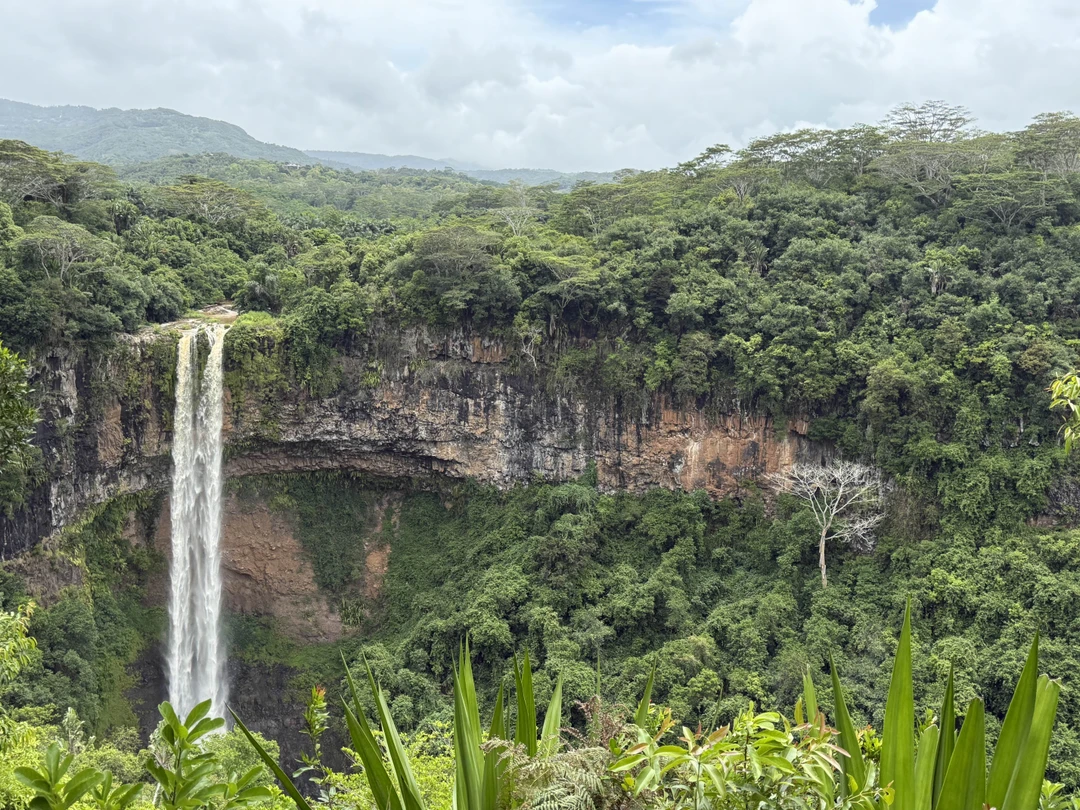 Огромная благодарность Елена за отлично организованные экскурсии!