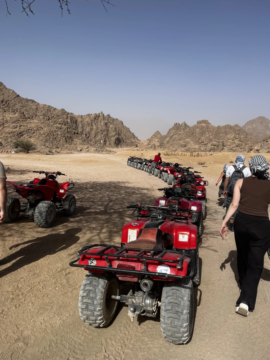 Посетили с детьми, 8 и 13 лет и 2 взрослых эту экскурсию. Это было столько положительных