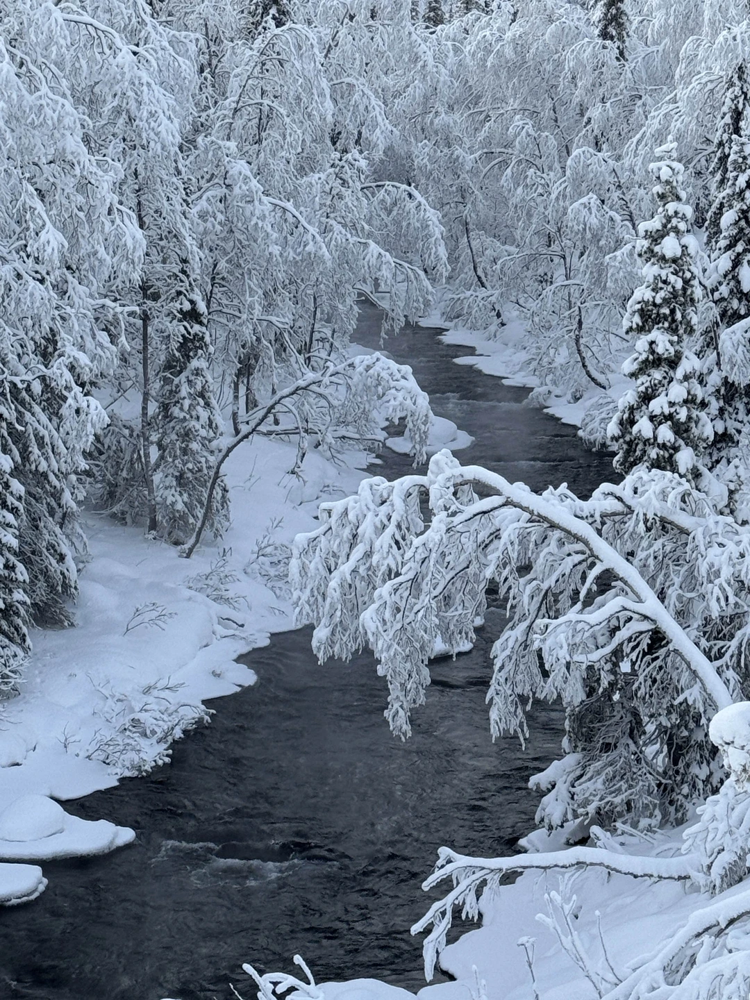 Если мечтаете увидеть северную сказку — идите с этим гидом - Александр! ⛰️ Он знает, где