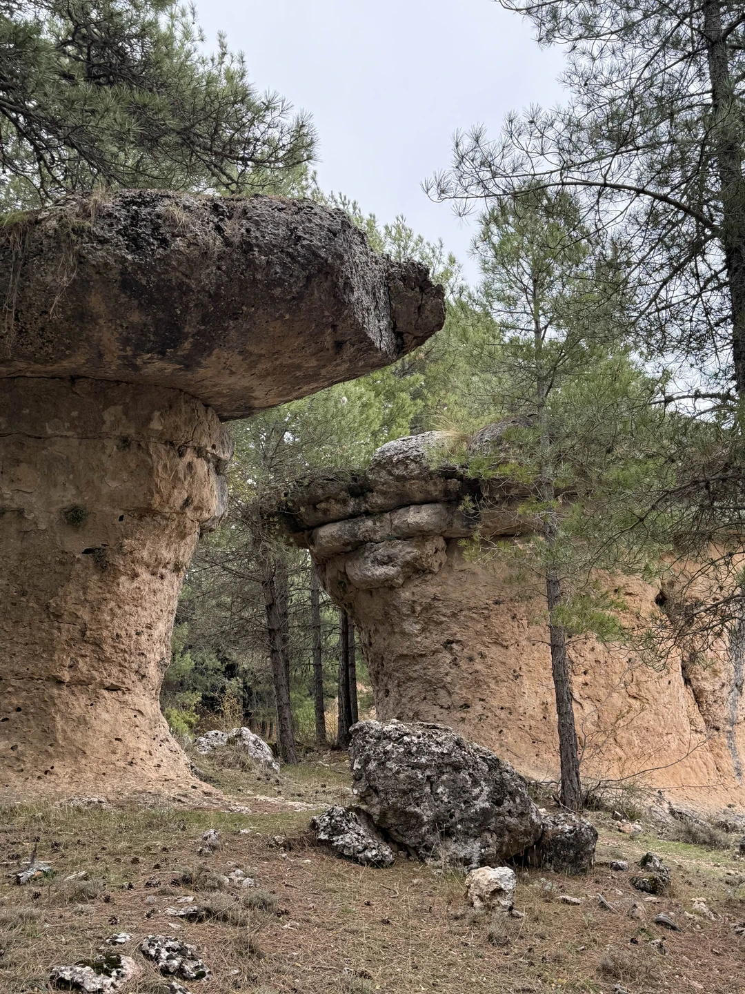 Красота невероятная!