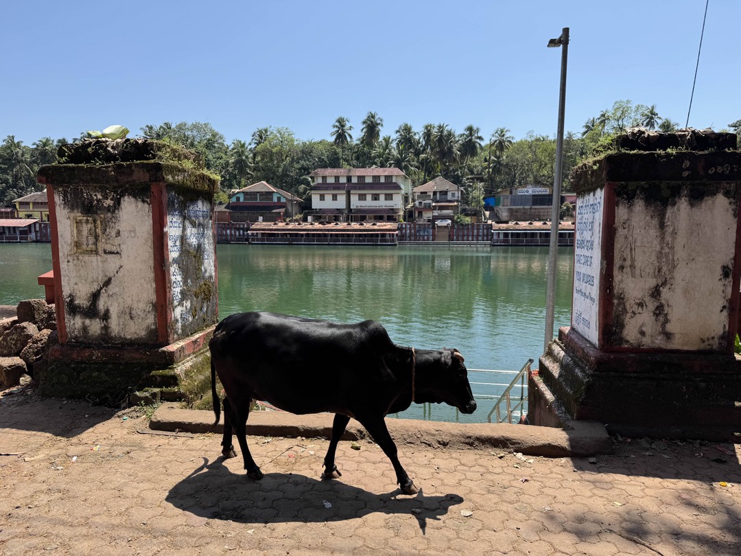 Замечательно экскурсия, большое спасибо Екатерине!