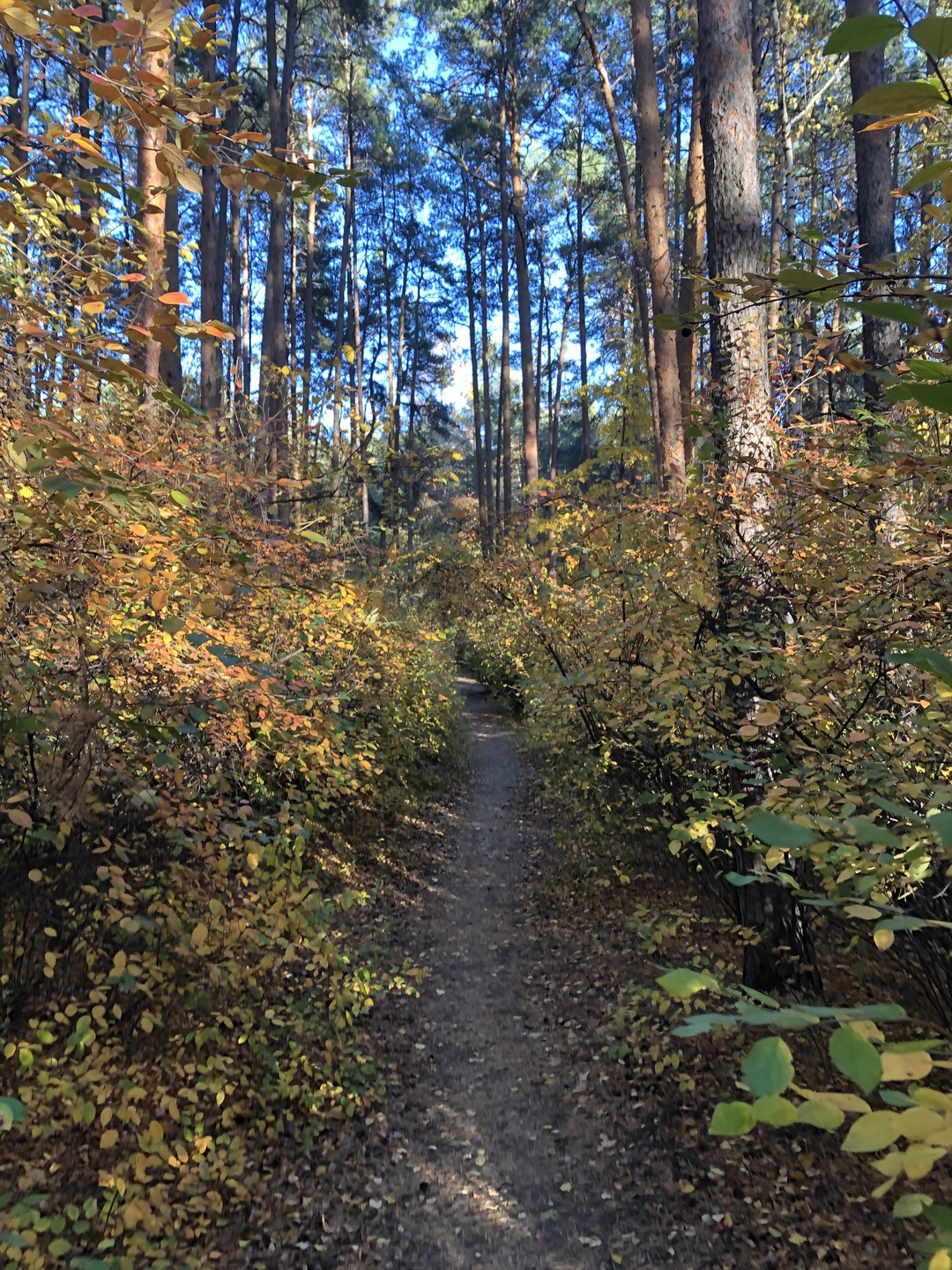 Шарташские были (Ирина)