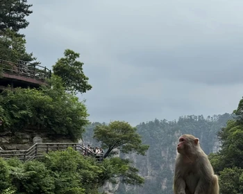 Национальный парк «Чжанцзяцзе»