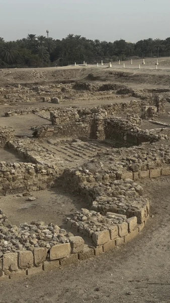 Хорошая насыщенная однодневная экскурсия по Бахрейну. У нас была гидом - Майя - очень приятная и