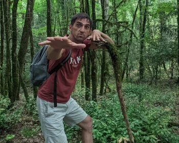 Тисо-самшитовая роща и каньон Белые скалы