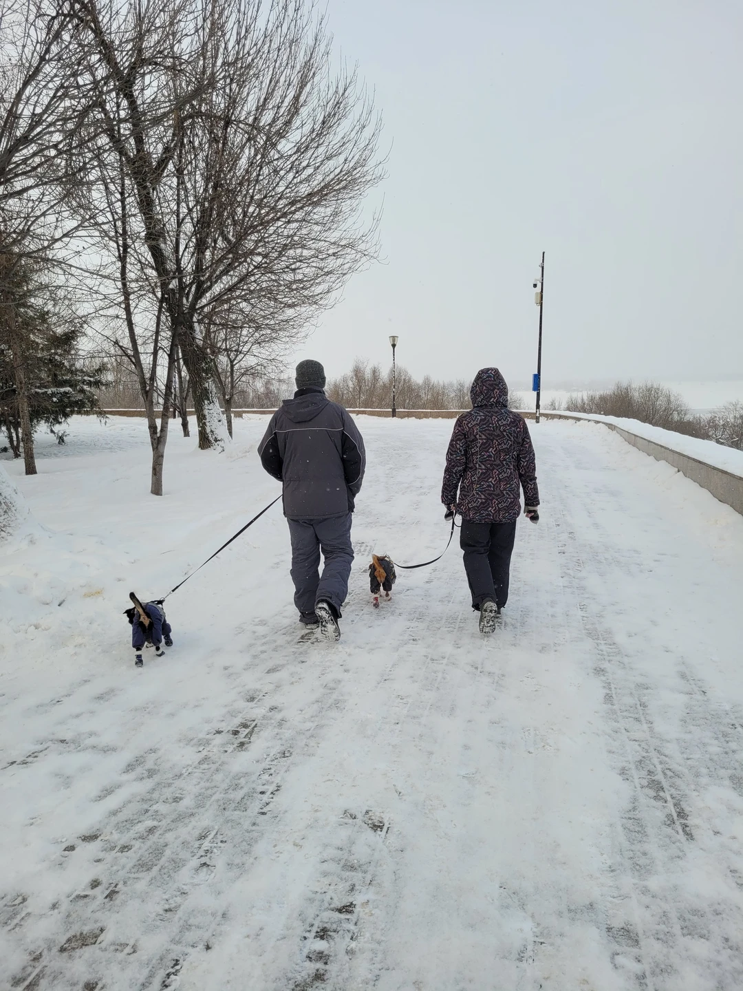 Прекрасно организованная интересная экскурсия. Галина связалась предварительно по телефону и прислала информацию о встрече. Была внимательна