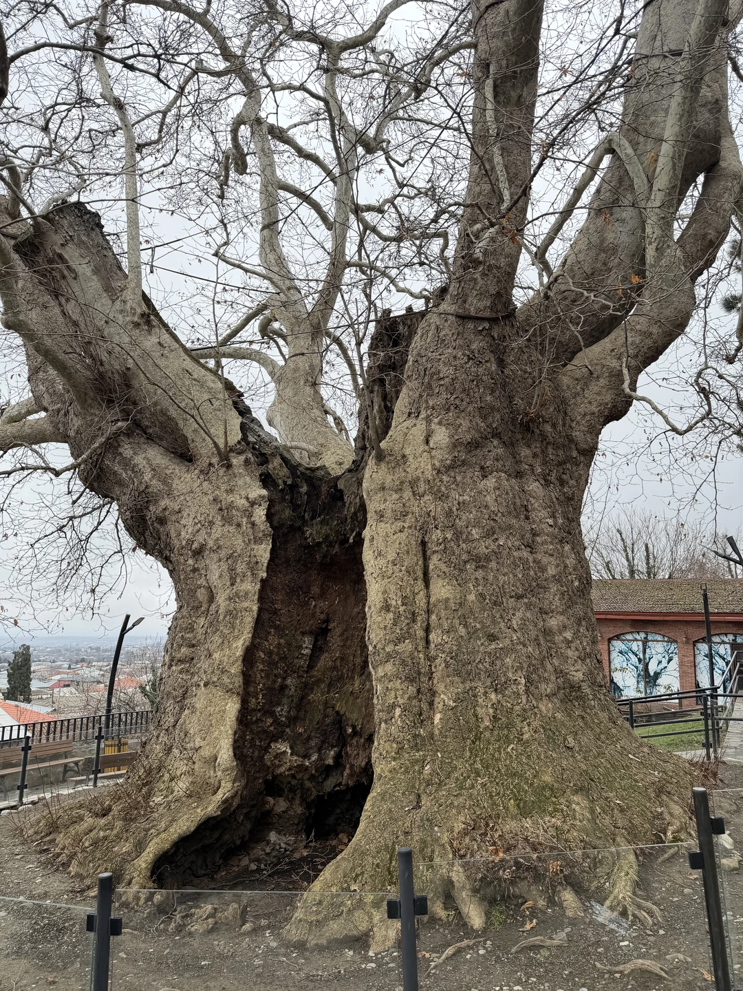 Огромная благодарность прекрасному гиду Георгию, человеку, который с таким вдохновением и с душой познакомил нас с