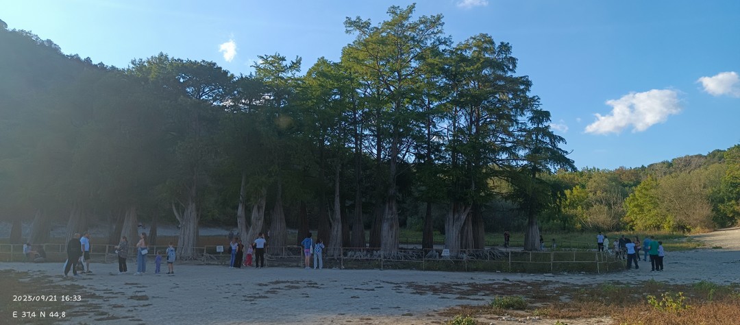 Водитель вежливый, охотно отвечал на вопросы. Без лишней суеты, всё прошло на высшем уровне