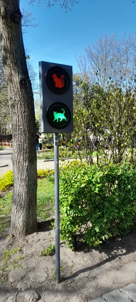 Красота….. хотя осталось легкое разочарование… очень мало время на косе… хотелось бы минут на 20- 30