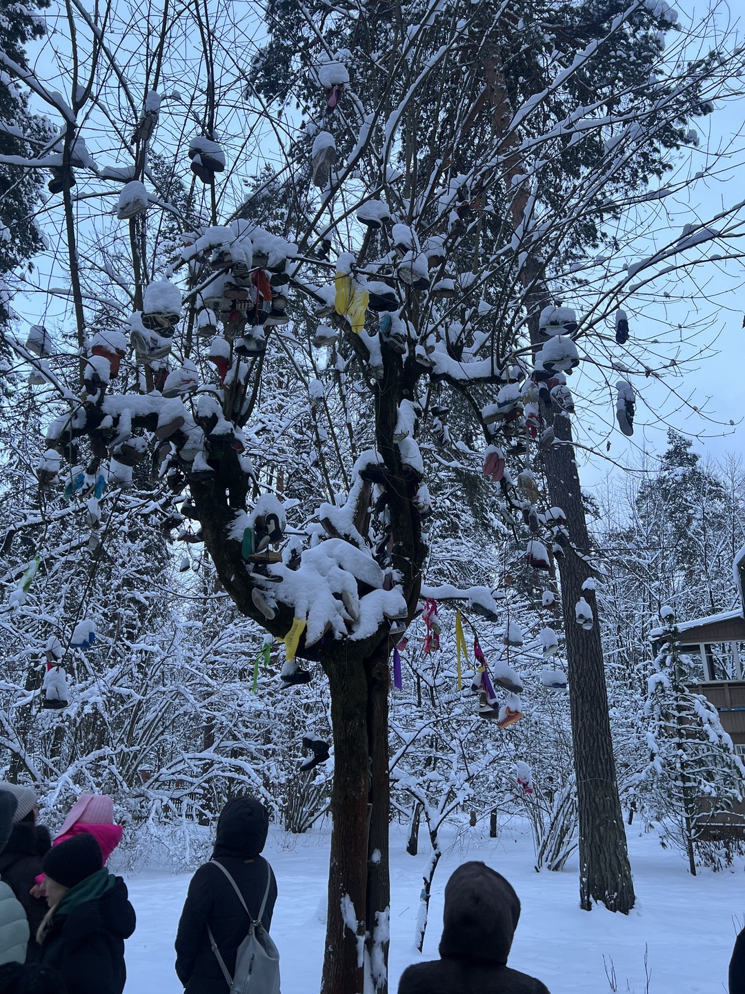 Литературное Переделкино (Ольга)