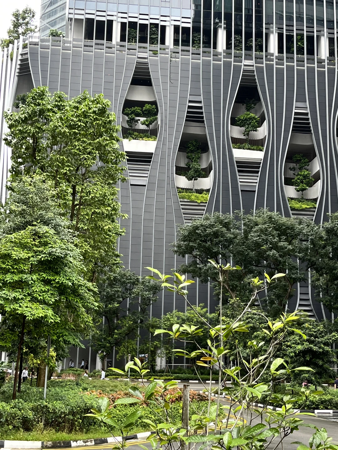 Ирочка, очень позитивный, веселый человек! Очень понравился ее рассказ про Сингапур. Ответила на все наши вопросы. Всем рекомендую!