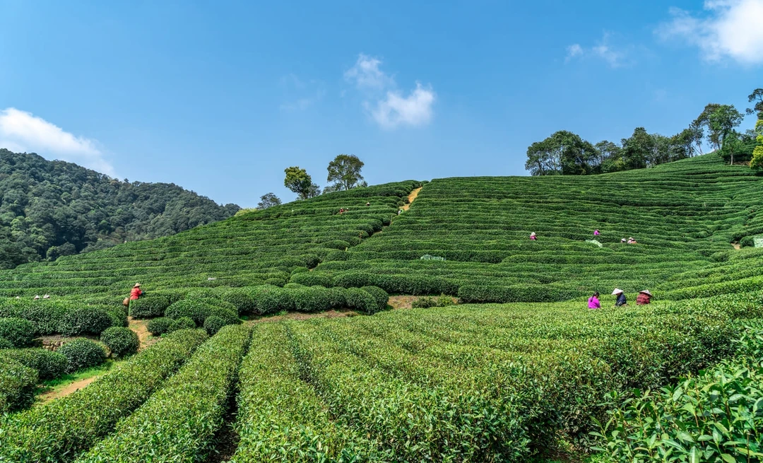 город Ханчжоу