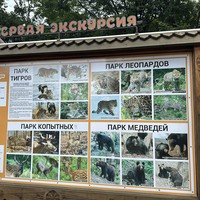 Фото отзыва 5: экскурсия "Сафари-парк и три бухты: Муравьиная, Шамора и Стеклянная"