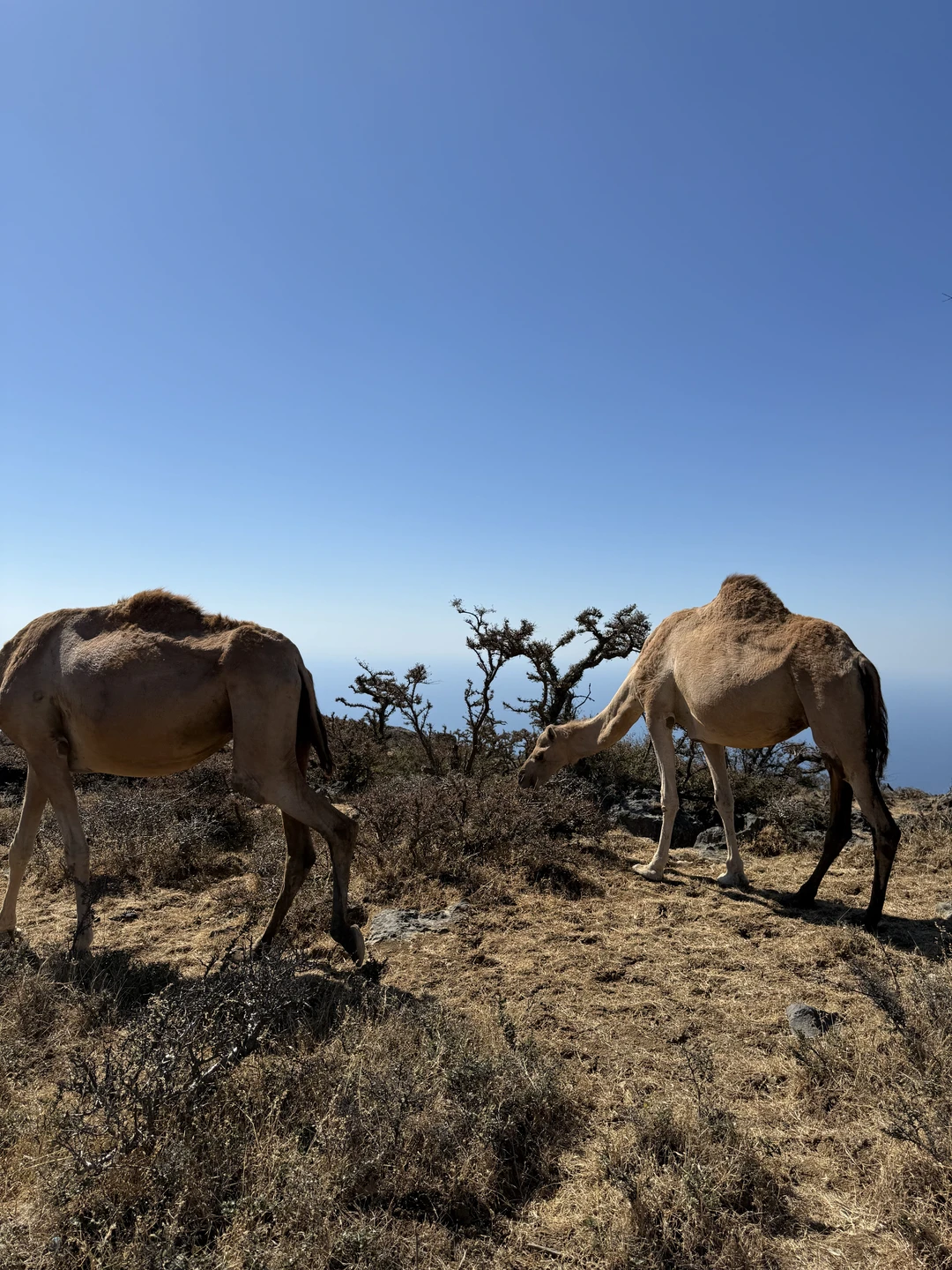 Спасибо большое Надежде за прекрасную экскурсию! Мы посмотрели очень много красивых достопримечательностей, я смогла задать все