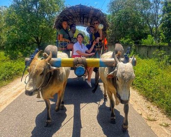 Пляжный отдых, ланкийская деревня, прогулка по Негомбо