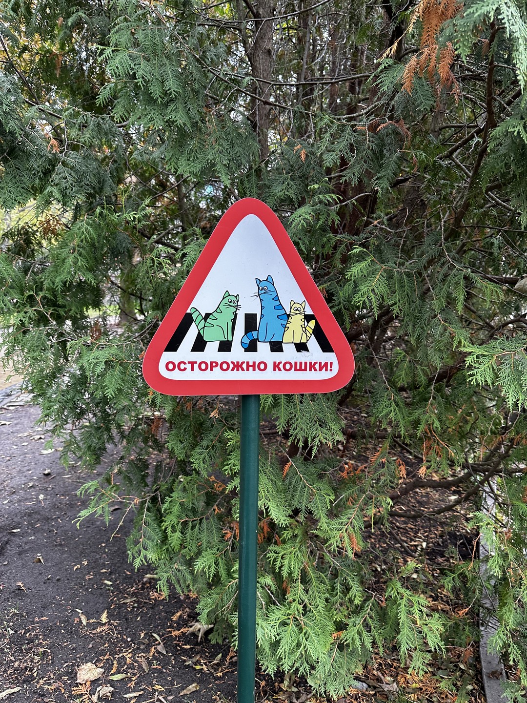 В небольшой группе - на Куршскую косу, в Зеленоградск (Олеся)