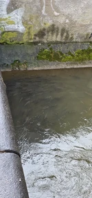 Фото отзыва 2: экскурсия "Большая обзорная экскурсия «Вся Прага одним днем»"